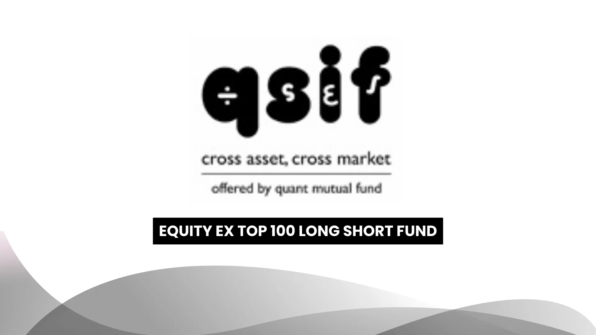 qsif Equity Ex-Top 100